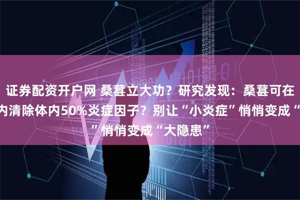 证券配资开户网 桑葚立大功？研究发现：桑葚可在16小时内清除体内50%炎症因子？别让“小炎症”悄悄变成“大隐患”