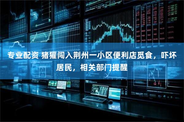 专业配资 猪獾闯入荆州一小区便利店觅食，吓坏居民，相关部门提醒